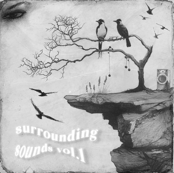 Surrounding Sounds Vol. 1